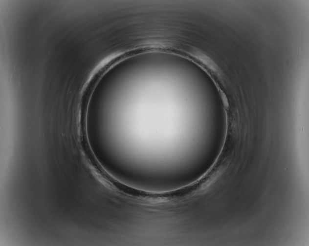 X0000086721030200704201622