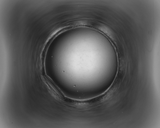 X0000086721031200704201622
