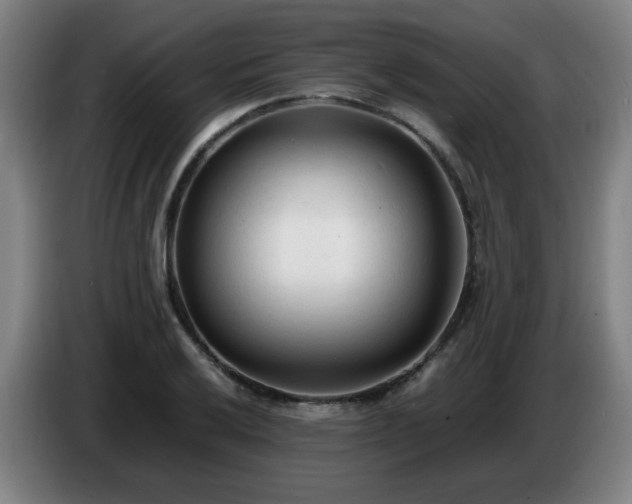 X0000086721032200704201622