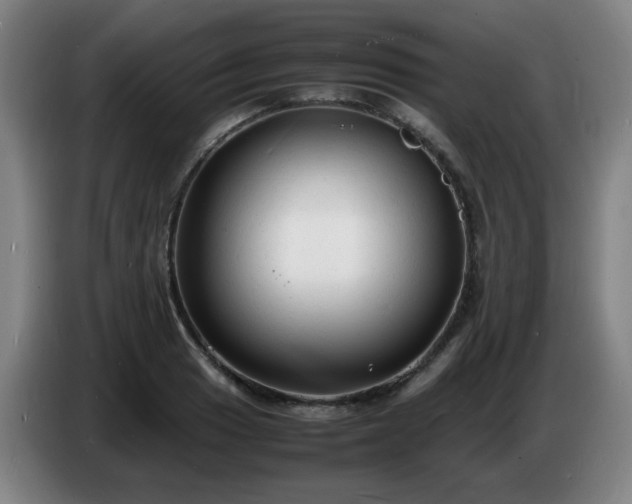 X0000086721033200704201622