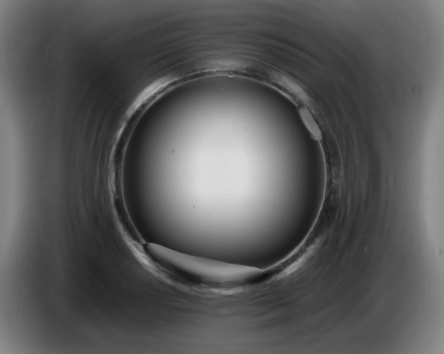X0000086721034200704201622