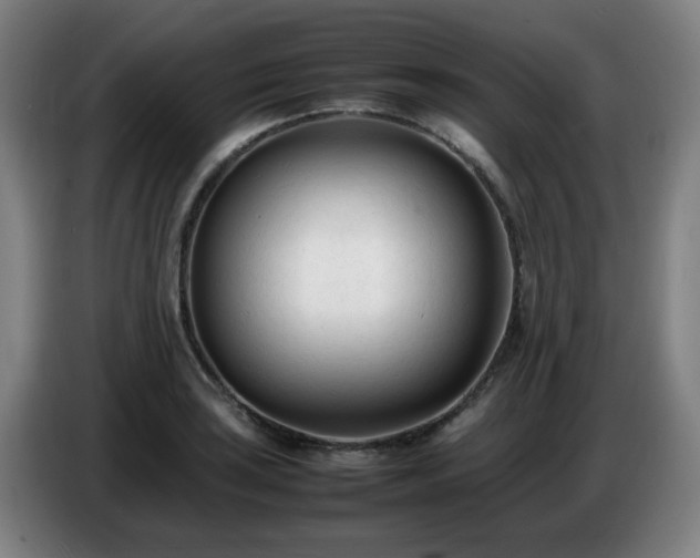 X0000086721035200704201622