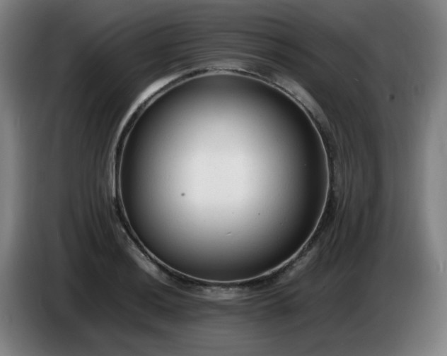 X0000086721036200704201622