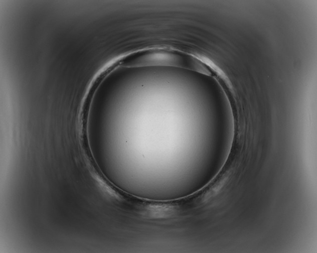 X0000086721037200704201622