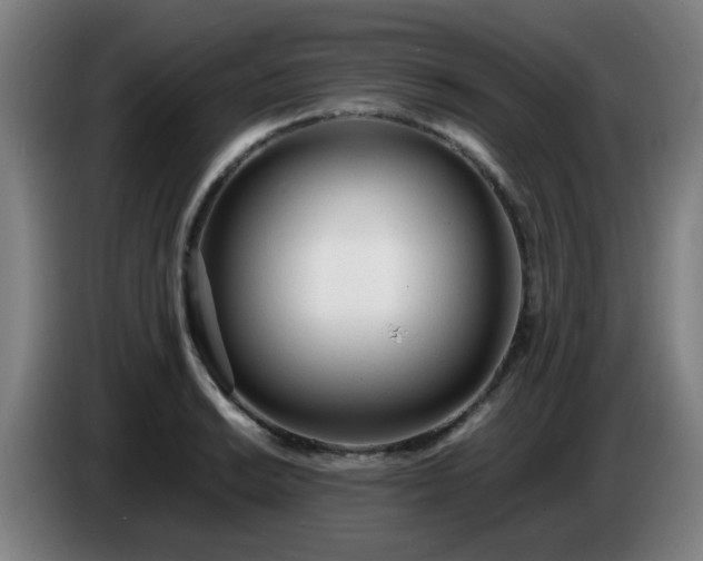 X0000086721038200704201622