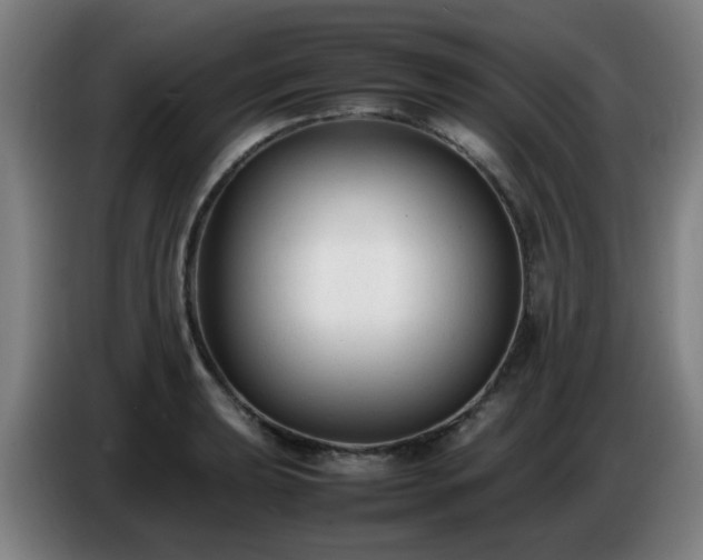 X0000086721039200704201622