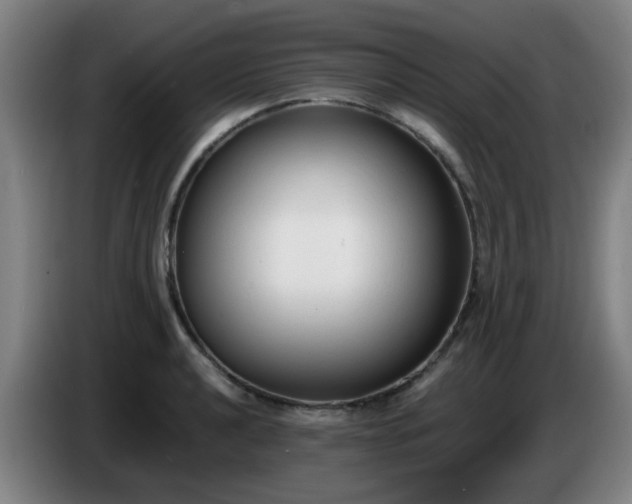 X0000086721040200704201622