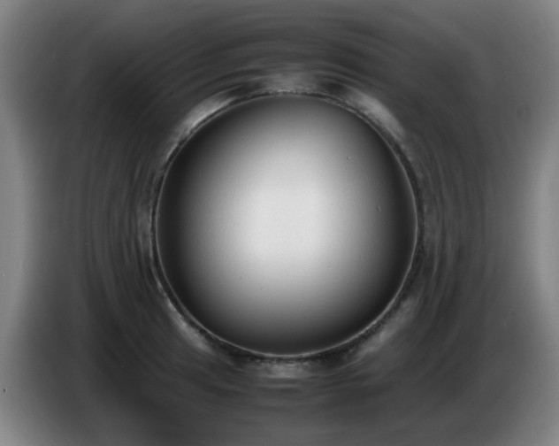 X0000086721041200704201622