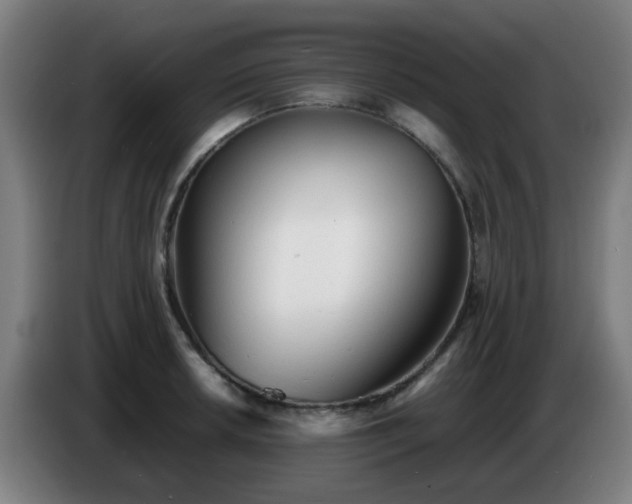 X0000086721042200704201622