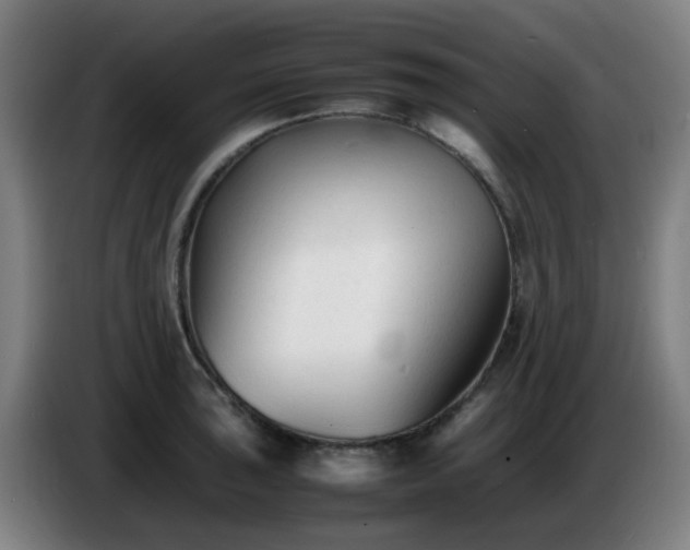 X0000086721043200704201622
