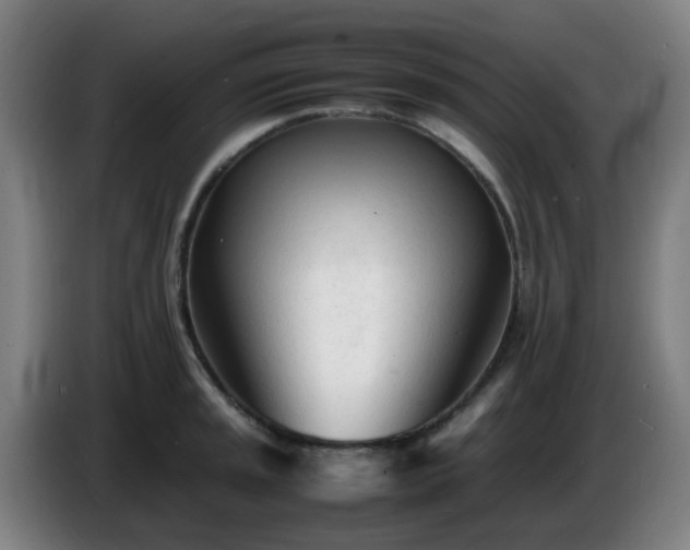 X0000086721045200704201623