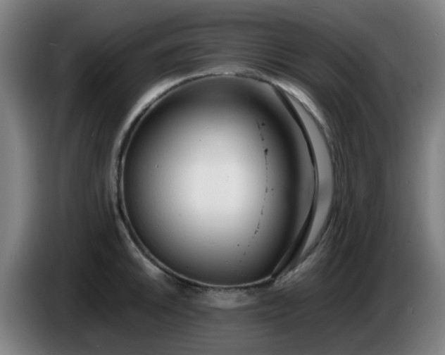X0000086721046200704201623