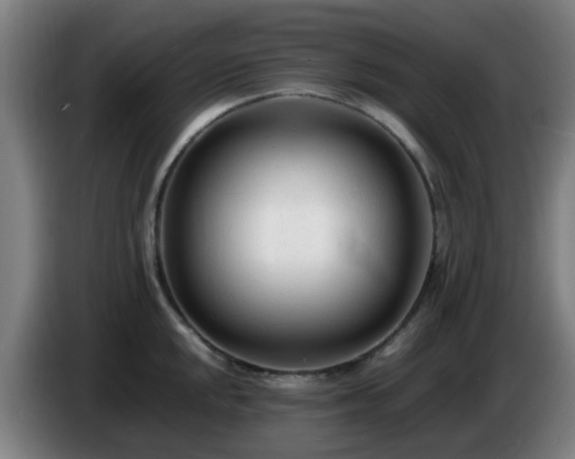 X0000086721048200704201623