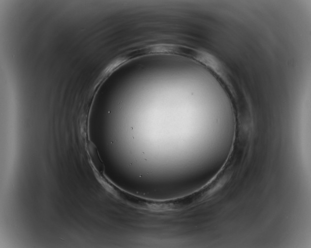 X0000086721049200704201623