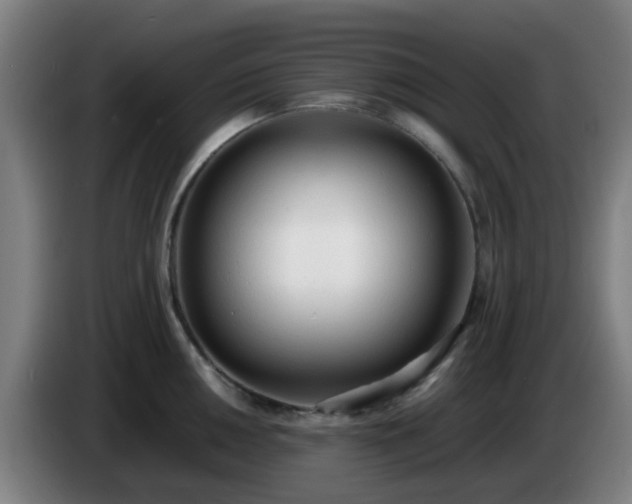 X0000086721050200704201623