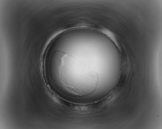X0000086721051200704201623