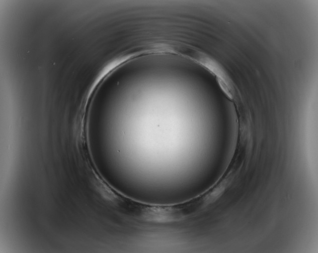 X0000086721052200704201623