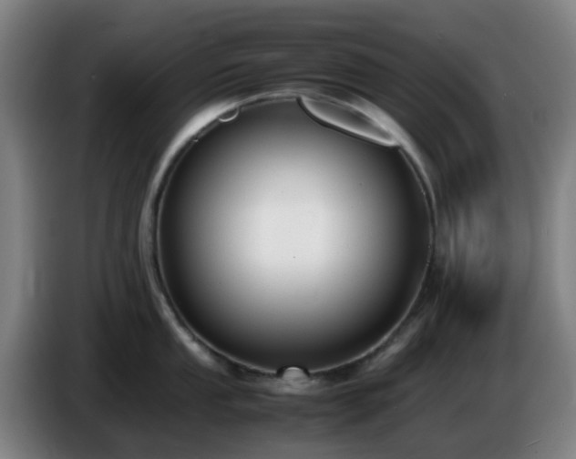 X0000086721053200704201623