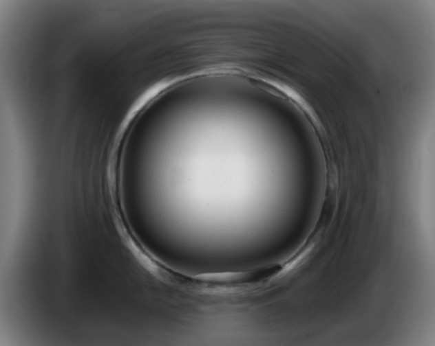 X0000086721054200704201623