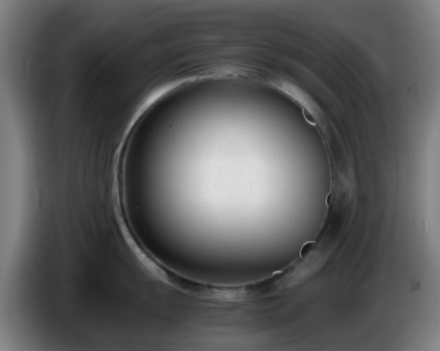 X0000086721055200704201623