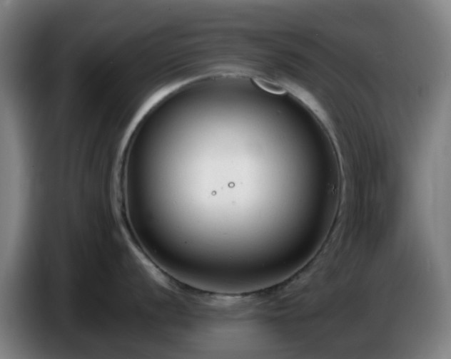 X0000086721056200704201623
