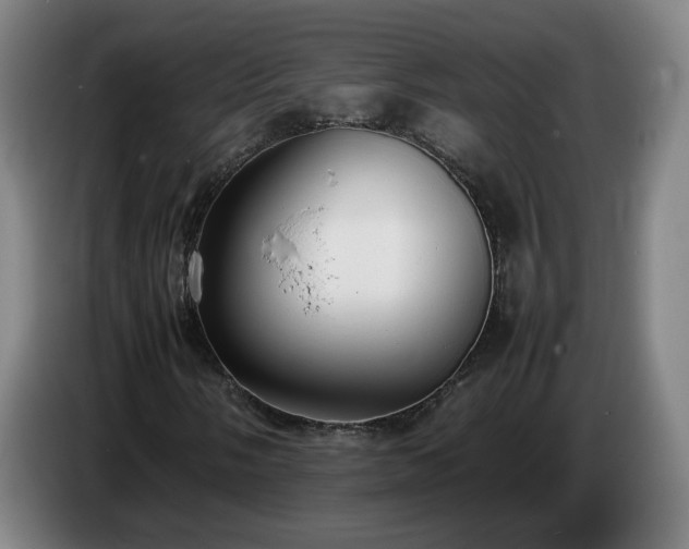 X0000086721058200704201622