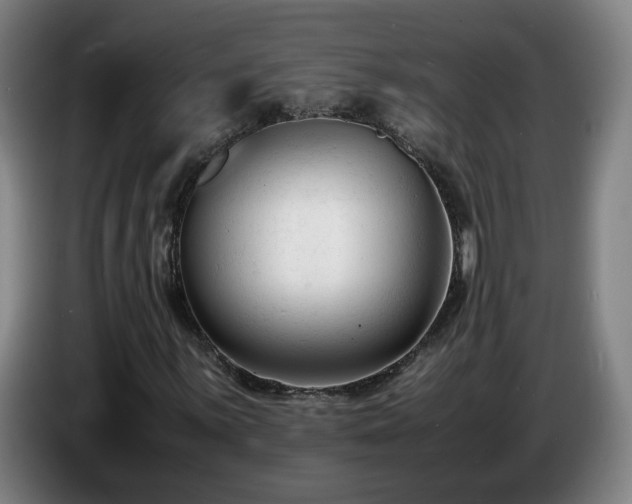 X0000086721059200704201622