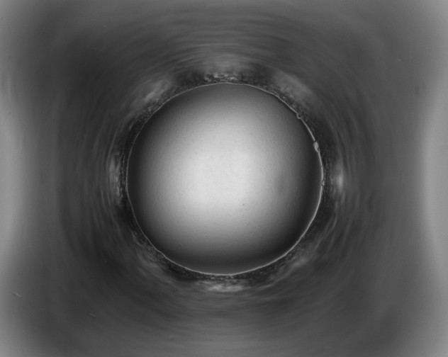 X0000086721060200704201622