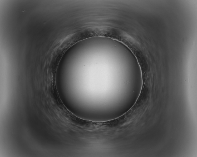 X0000086721061200704201622