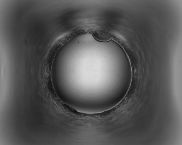 X0000086721063200704201622