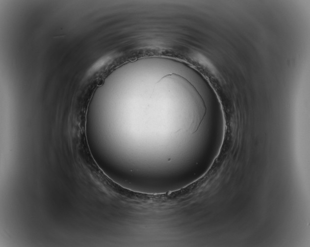 X0000086721064200704201622