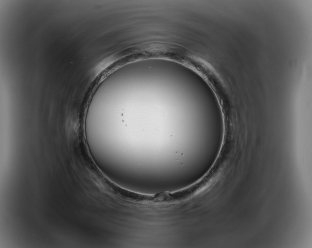 X0000086721065200704201622