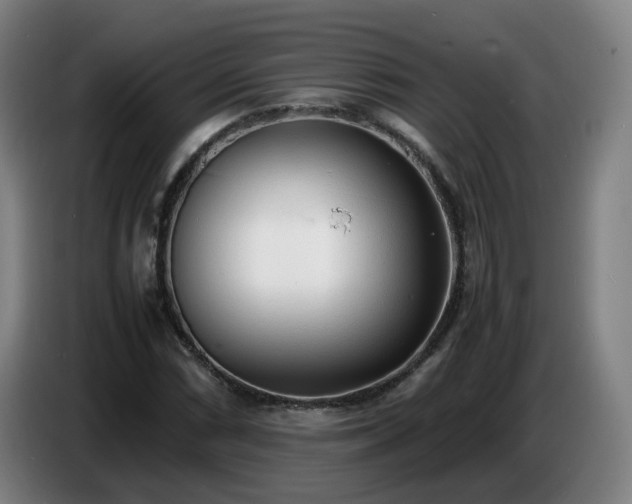 X0000086721066200704201622