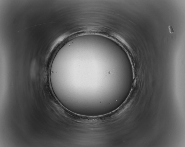 X0000086721067200704201622