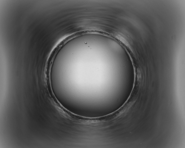 X0000086721068200704201622