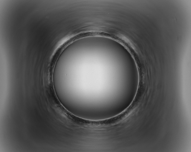 X0000086721069200704201622