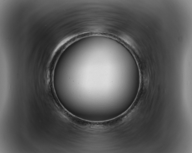 X0000086721070200704201622