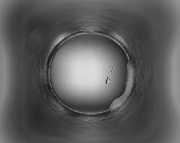 X0000086721071200704201622