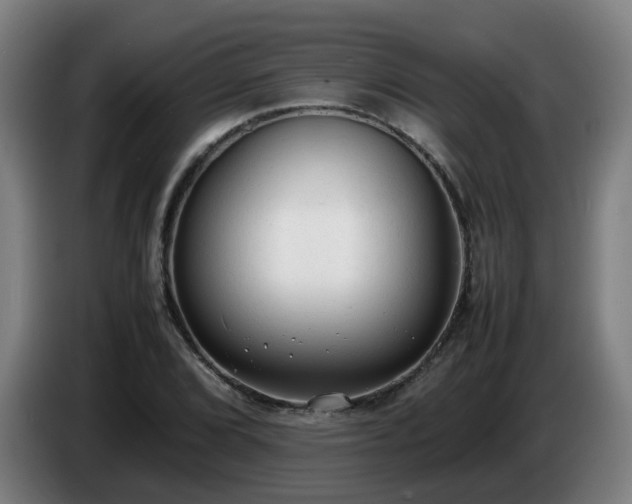 X0000086721072200704201622