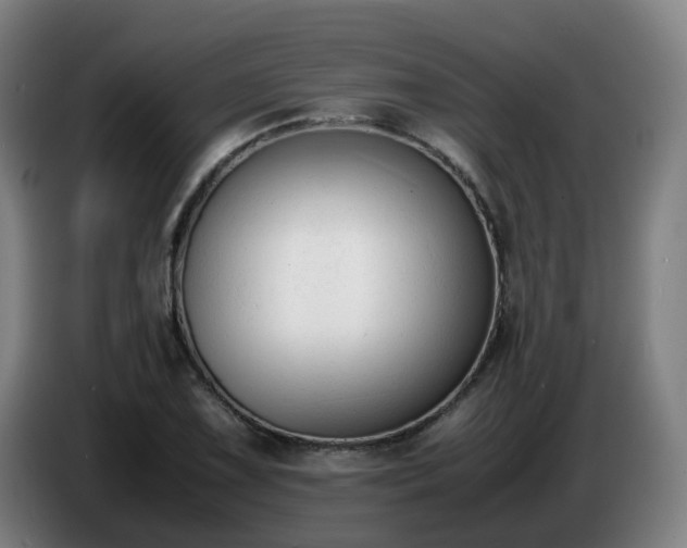 X0000086721075200704201622