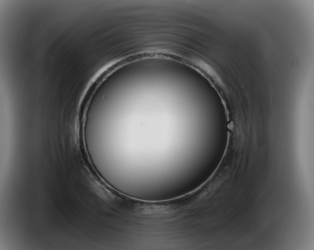 X0000086721076200704201622