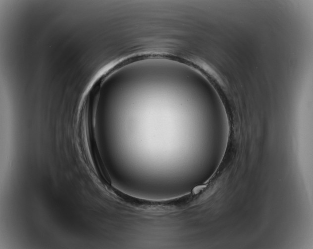 X0000086721077200704201622