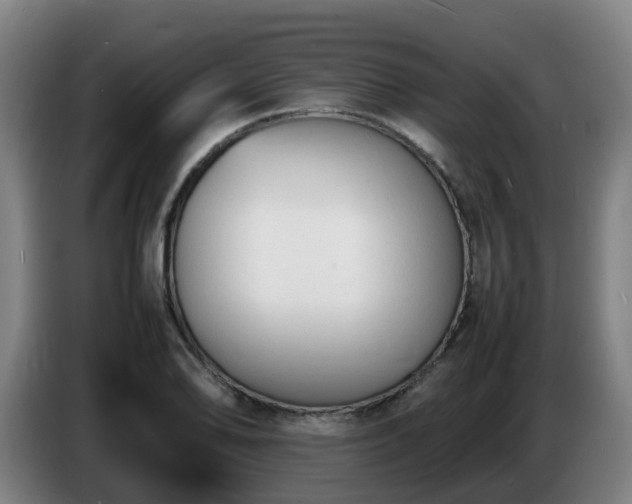 X0000086721078200704201622