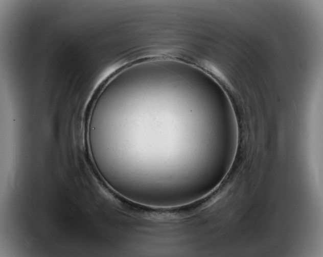 X0000086721079200704201622