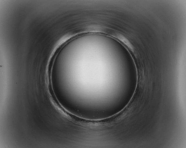 X0000086721080200704201622