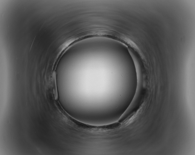 X0000086721081200704201622