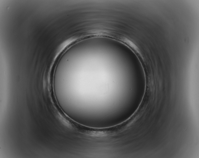 X0000086721082200704201622