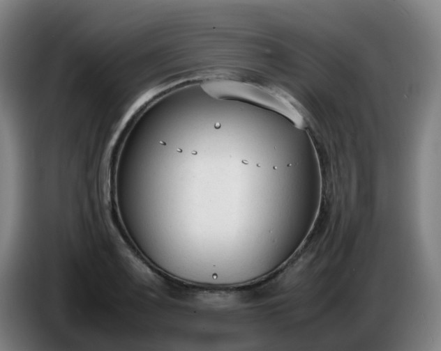 X0000086721083200704201622