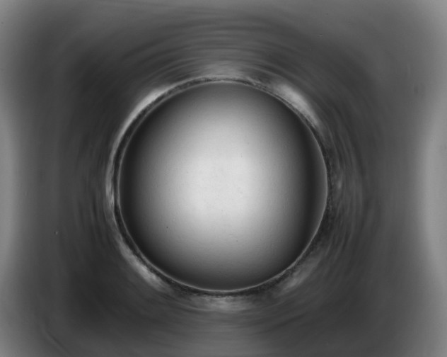 X0000086721084200704201622