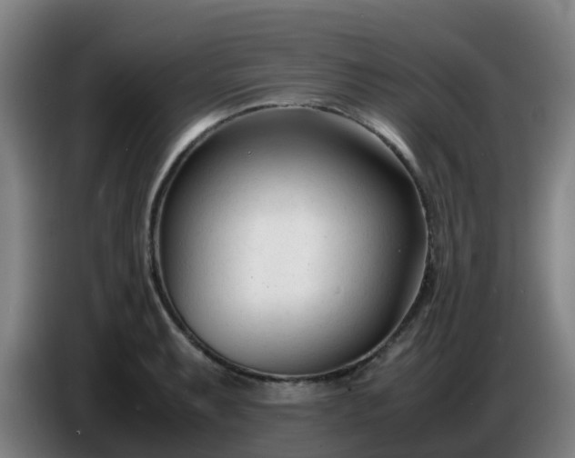 X0000086721087200704201622